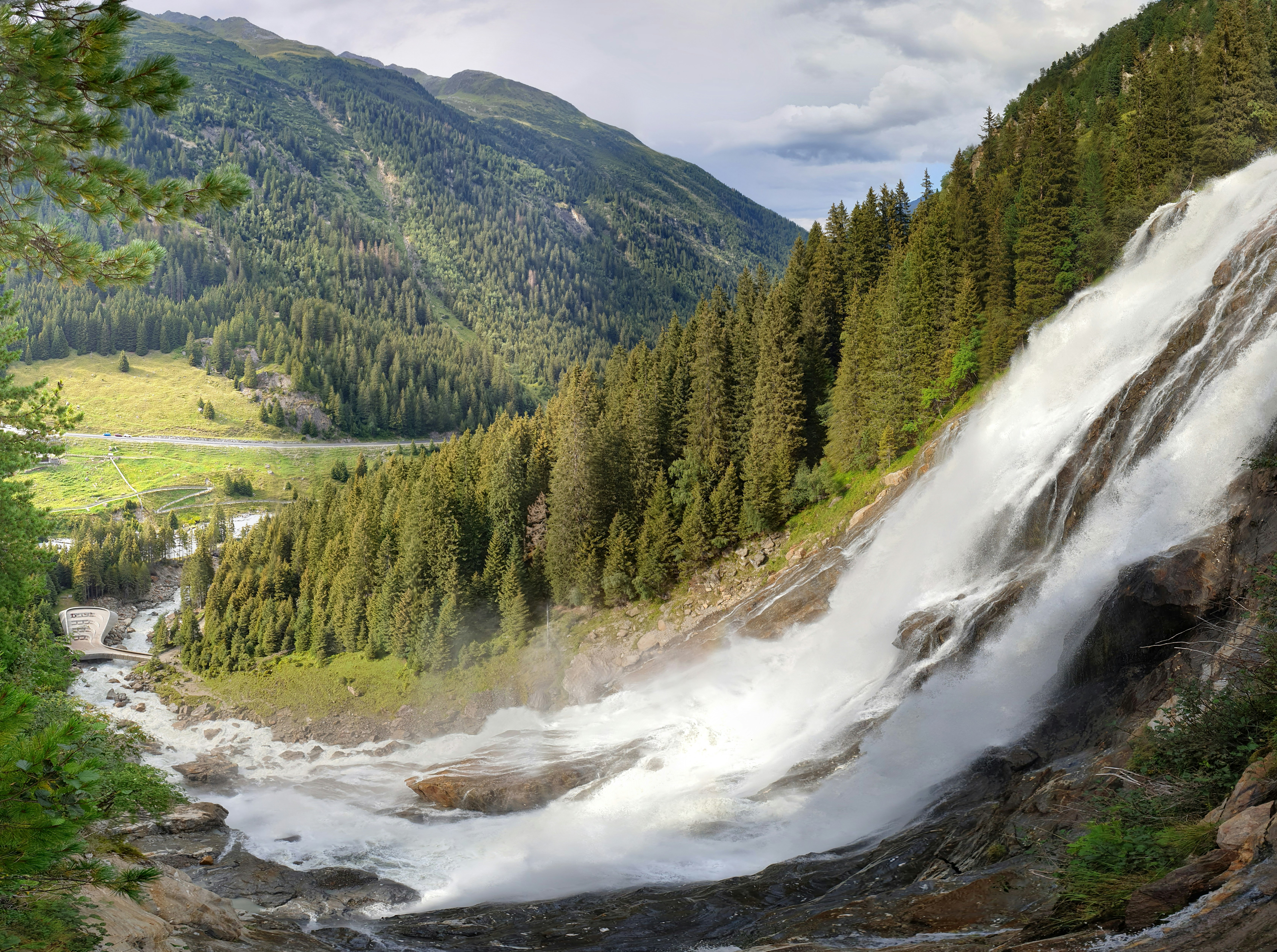 Alpenwiese im Sommer